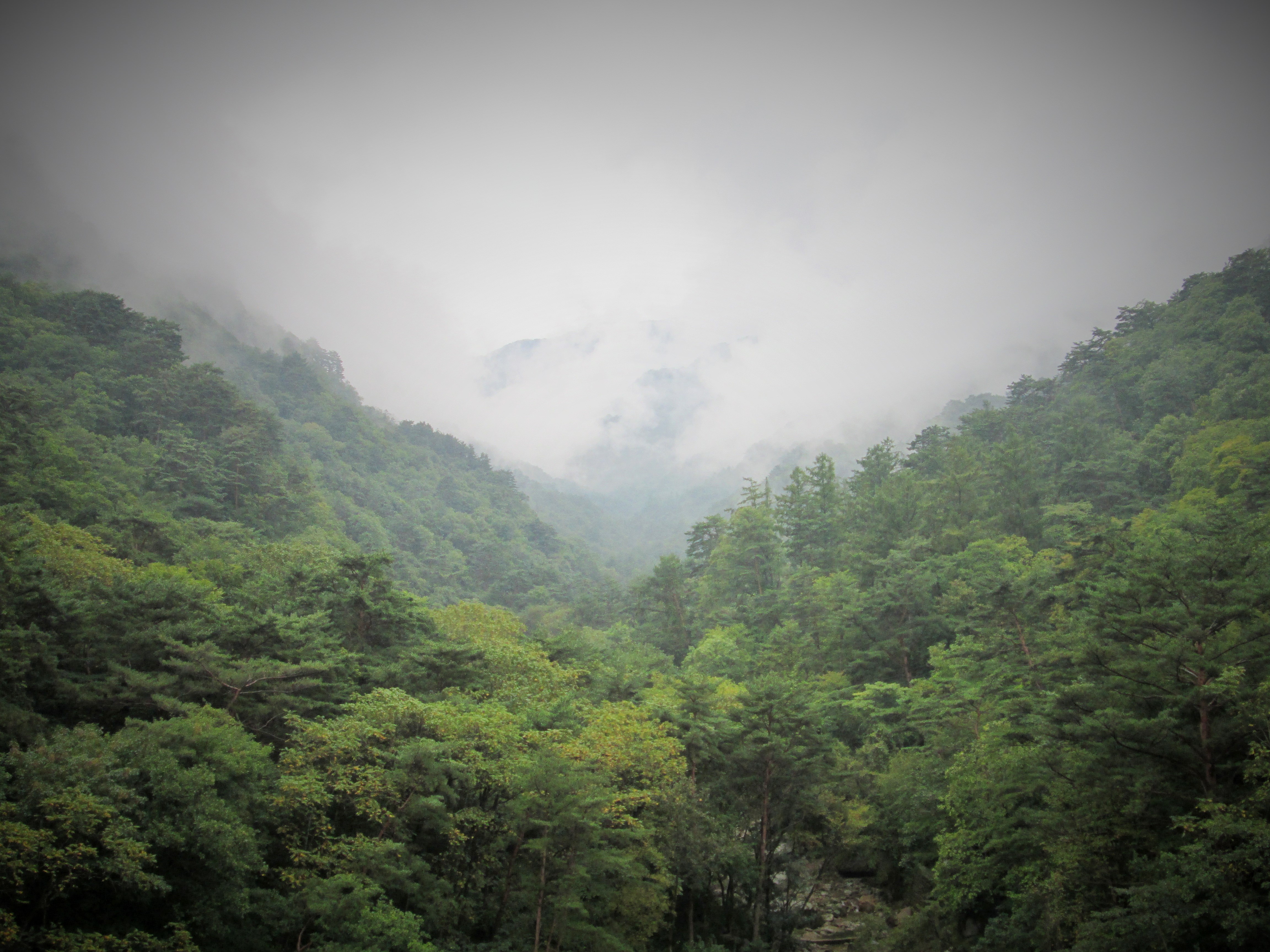 Blick auf Nebel der durch eine Berglandschaft zieht. Es ist der Terassenausblick.