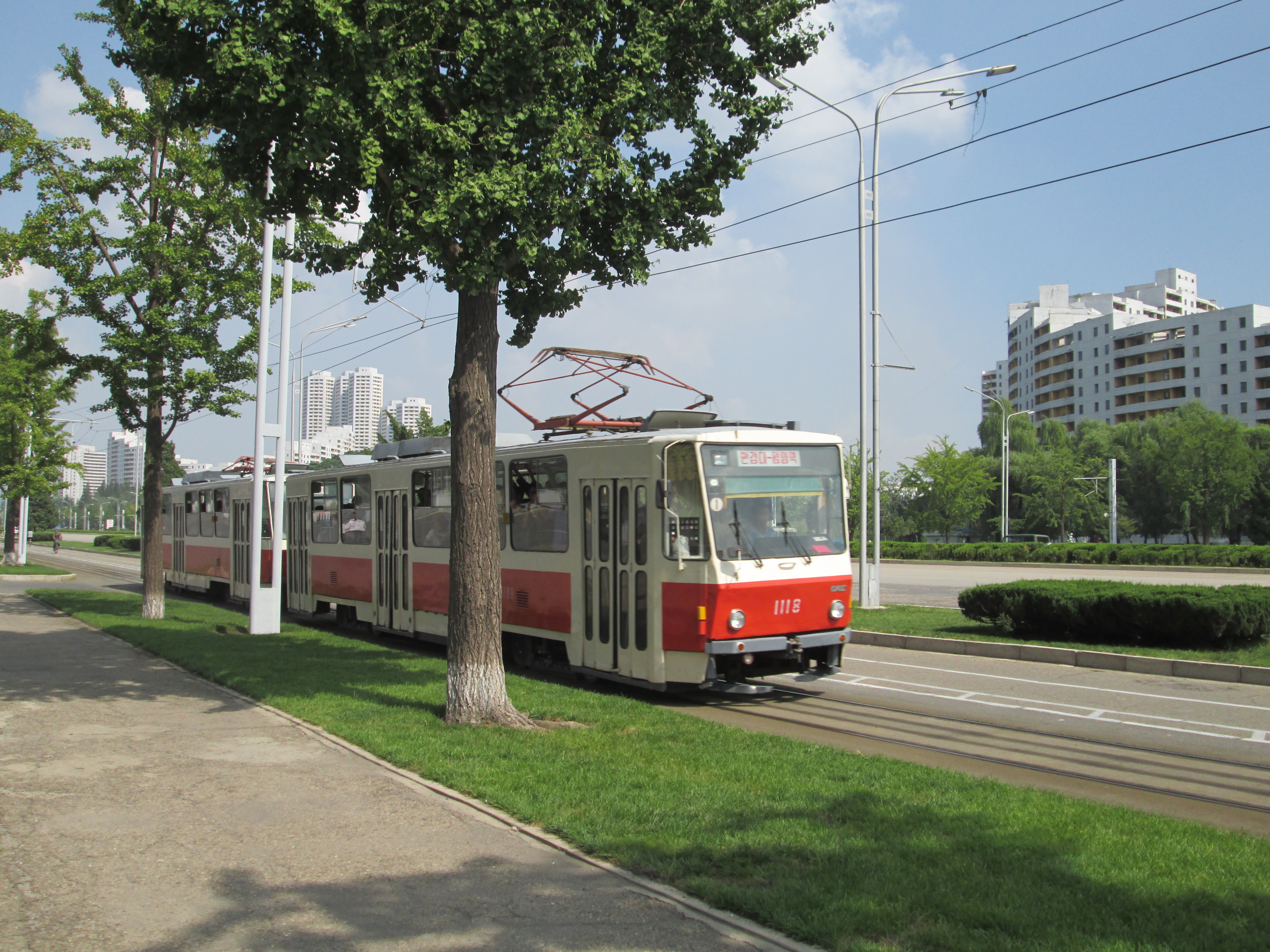 Eine rot-weiße Straßenbahn fährt von links in das Bild. Im Hintergrund sind weiße Wohnbauten und grüne Straßenbepflanzung zu sehen.