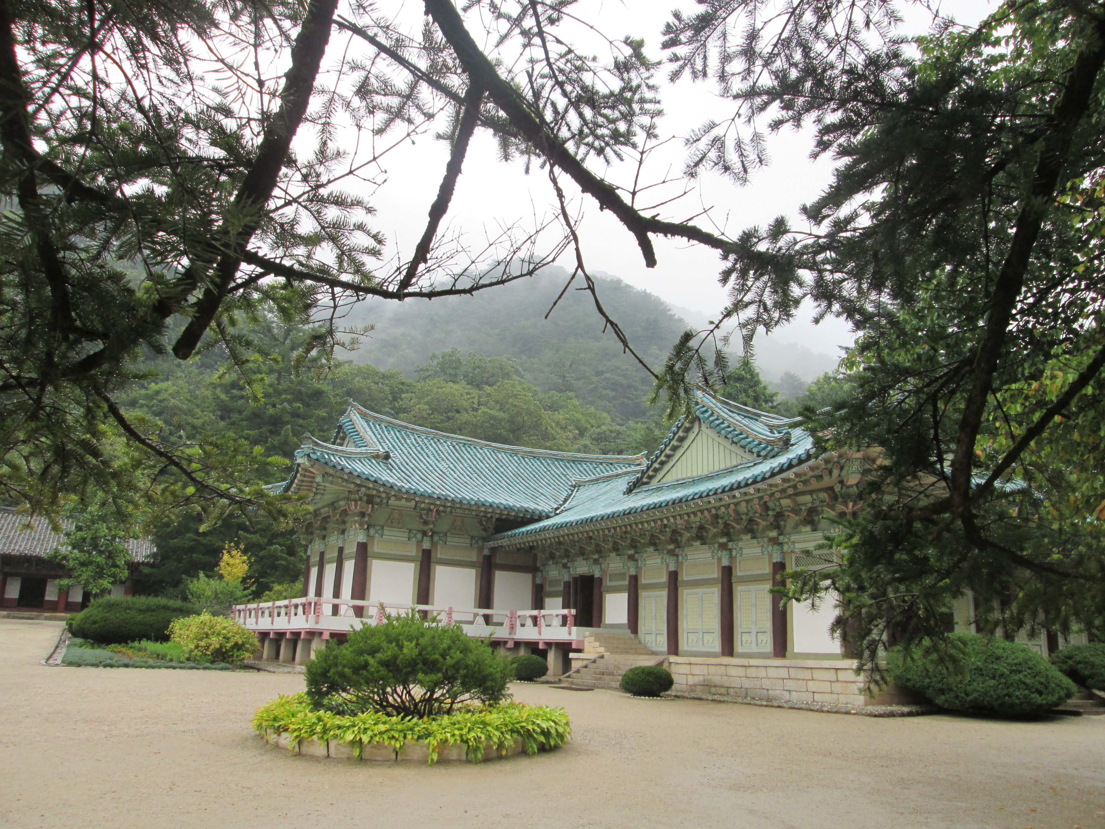 Durch eine Baumkrone blickt man auf ein historisch aussehendes, tempelartiges Gebäude, welches ein Museum beinhaltet.